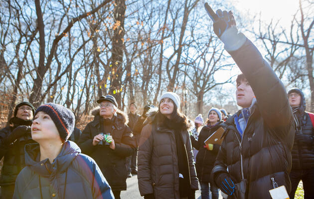 Greenwich-Stamford Christmas Bird Count