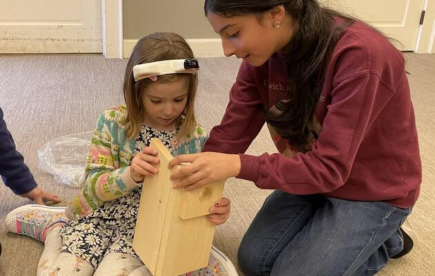 Nest Box Building Workshop