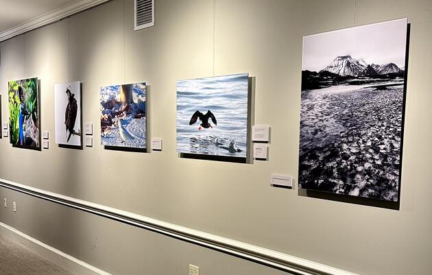 ‘Birds & Nature From Around the World’ - Gallery Opening