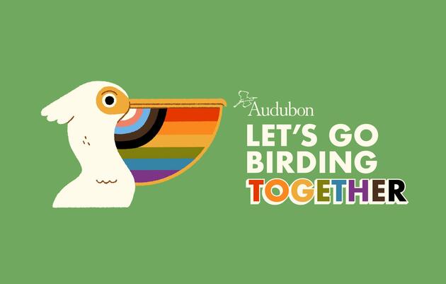 Let's Go Birding Together! A Pride Month Birding Tour