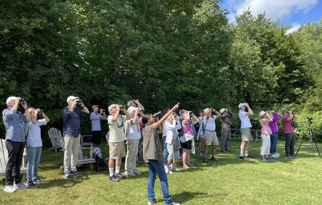 Hawk Watch Season's-End Gathering & Season Report