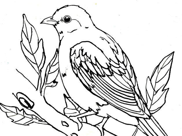 Scarlet Tanager Coloring Page