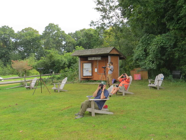 Quaker Ridge Hawk Watch