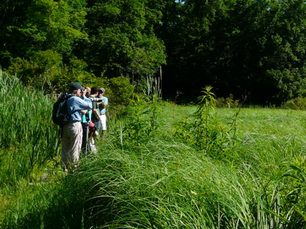 Fairchild Wildflower Audubon Sanctuary