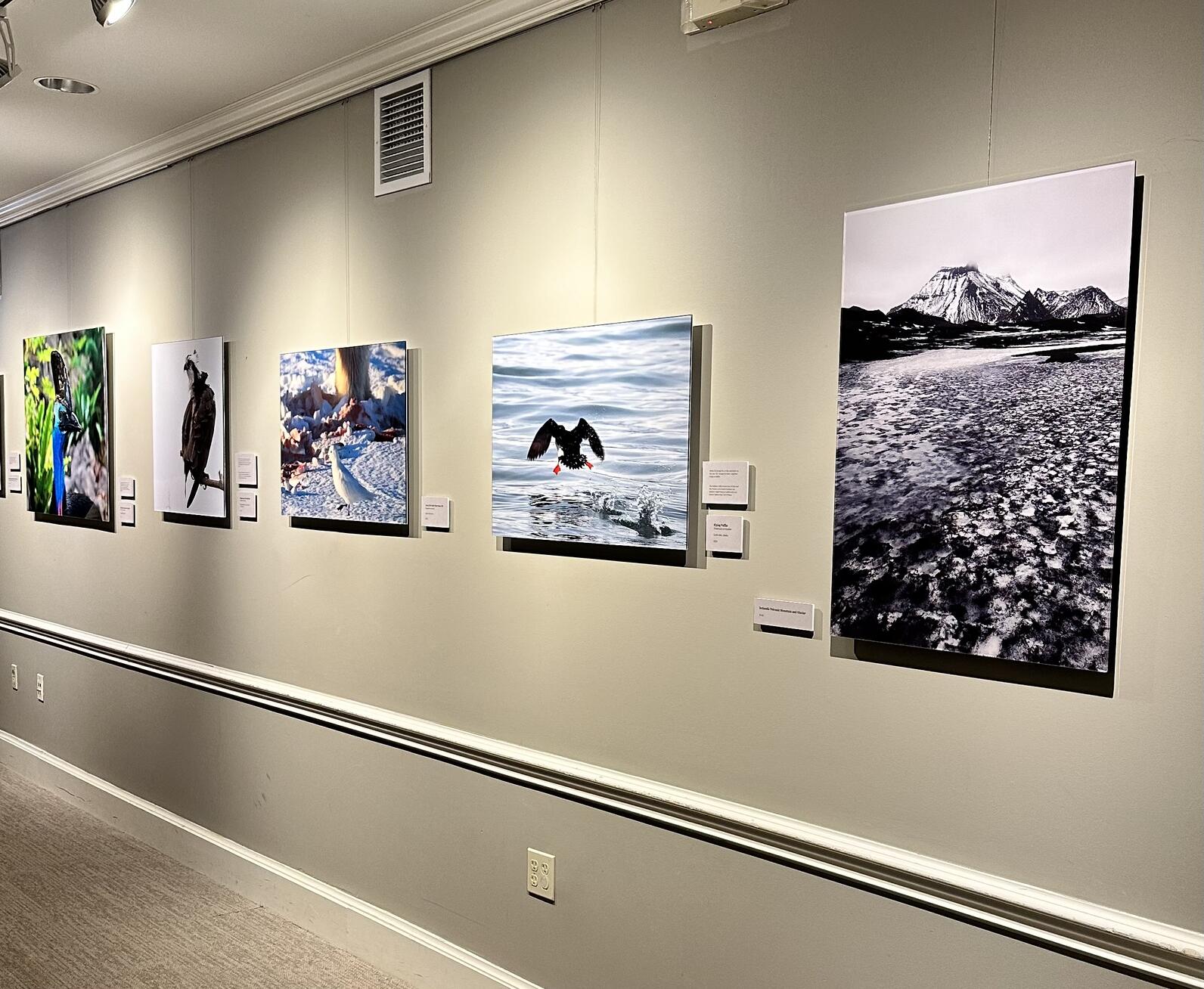 Four of Deirdre's photographs are displayed in Kiernan Hall Gallery
