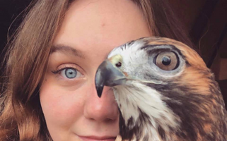 Close up of the faces of a woman and a Red-tailed Hawk.