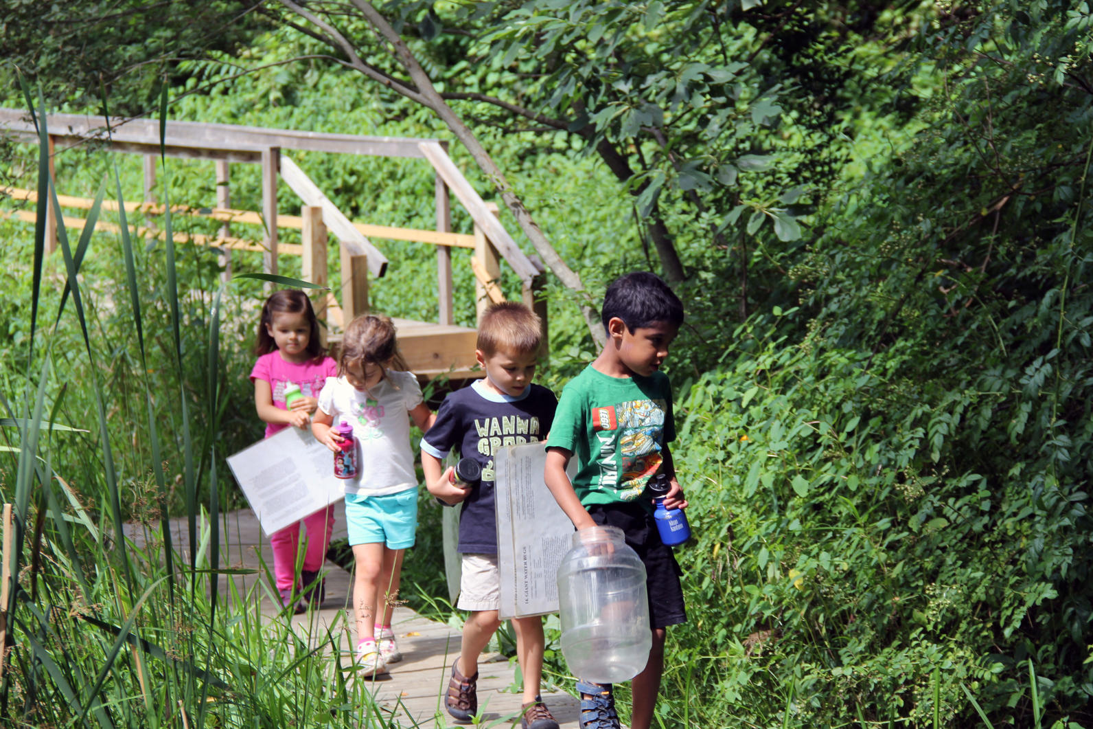 Summer Nature Day Camp | Audubon Greenwich